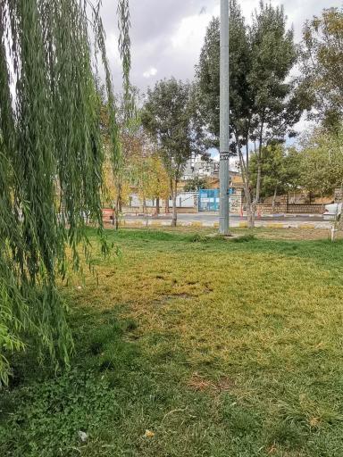 عکس پارک تفریحی