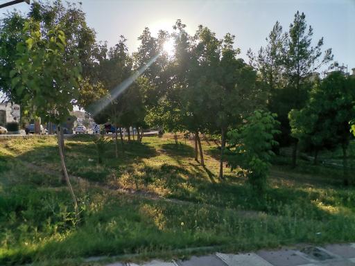 عکس پارک تفریحی