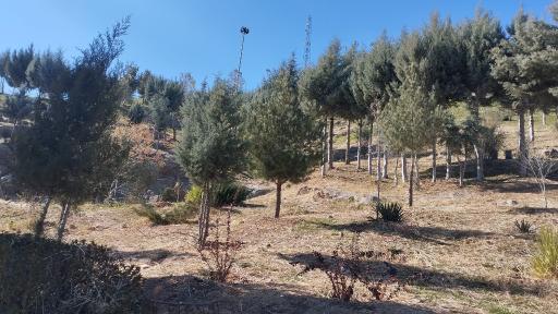 عکس بام بروجرد