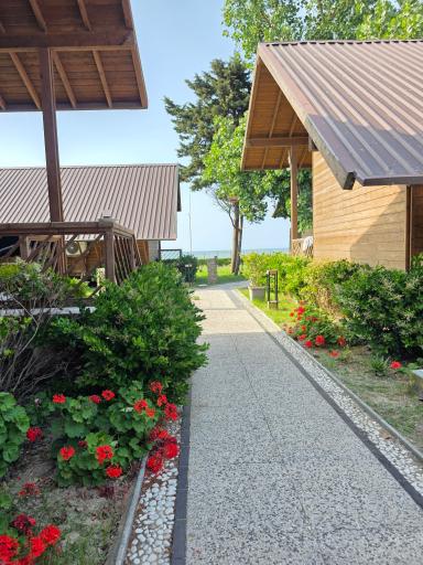 عکس هتل ساحلی میزبان 
