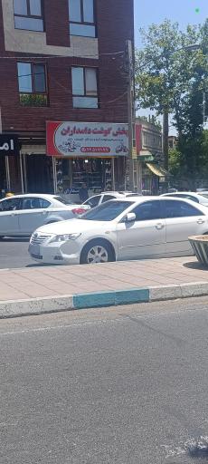 عکس قصابی دامداران