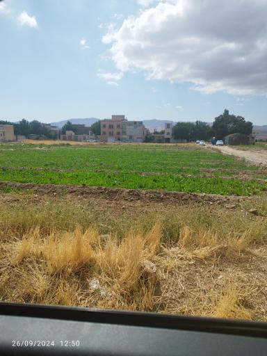 عکس سبزی فروشی باغ آهو