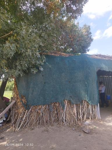 عکس سبزی فروشی باغ آهو