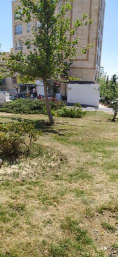 عکس پارک صبا