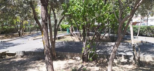 عکس پارک صبا