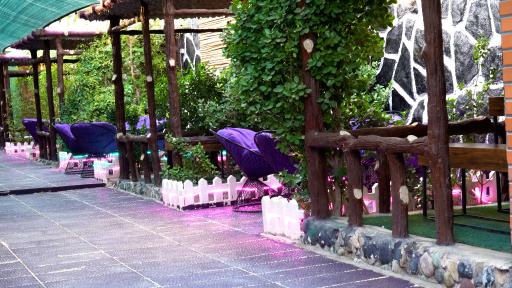 عکس کافه راه بنفش