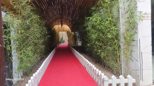 عکس کافه راه بنفش