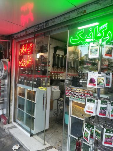 گیاهان دارویی کاکنج