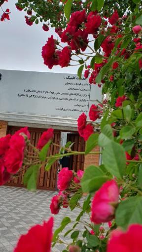 عکس کلینیک تخصصی روانشناسی کودک و نوجوان دکتر سمانه پناهیان