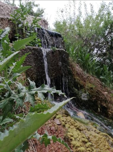 عکس آبشار شاه دره