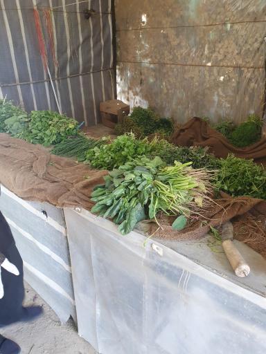 عکس سبزی فروشی باغ آهو