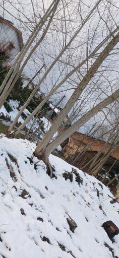 عکس پل خشتی نیاکو