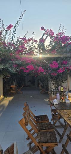 عکس اقامتگاه الوند جنوب