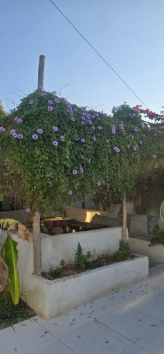 عکس اقامتگاه الوند جنوب