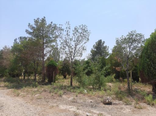 عکس پارک روستای خورزان