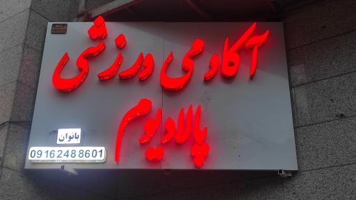آکادمی ورزشی پالادیوم