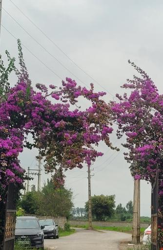 عکس شهرک اقامتی جهاندیدگان اریکه آرامش