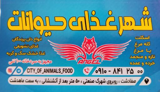 عکس شهر غذای حیوانات 