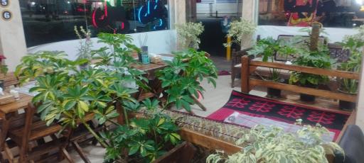 عکس کباب ساطوری اصل بناب آذربایجان