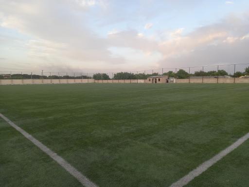 عکس ورزشگاه فوتبال چمن مصنوعی آلارد