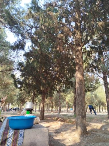 عکس پارک جنگلی دانشجو دامغان