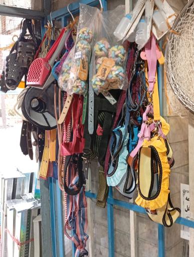 عکس دانه پرنده تاجیک