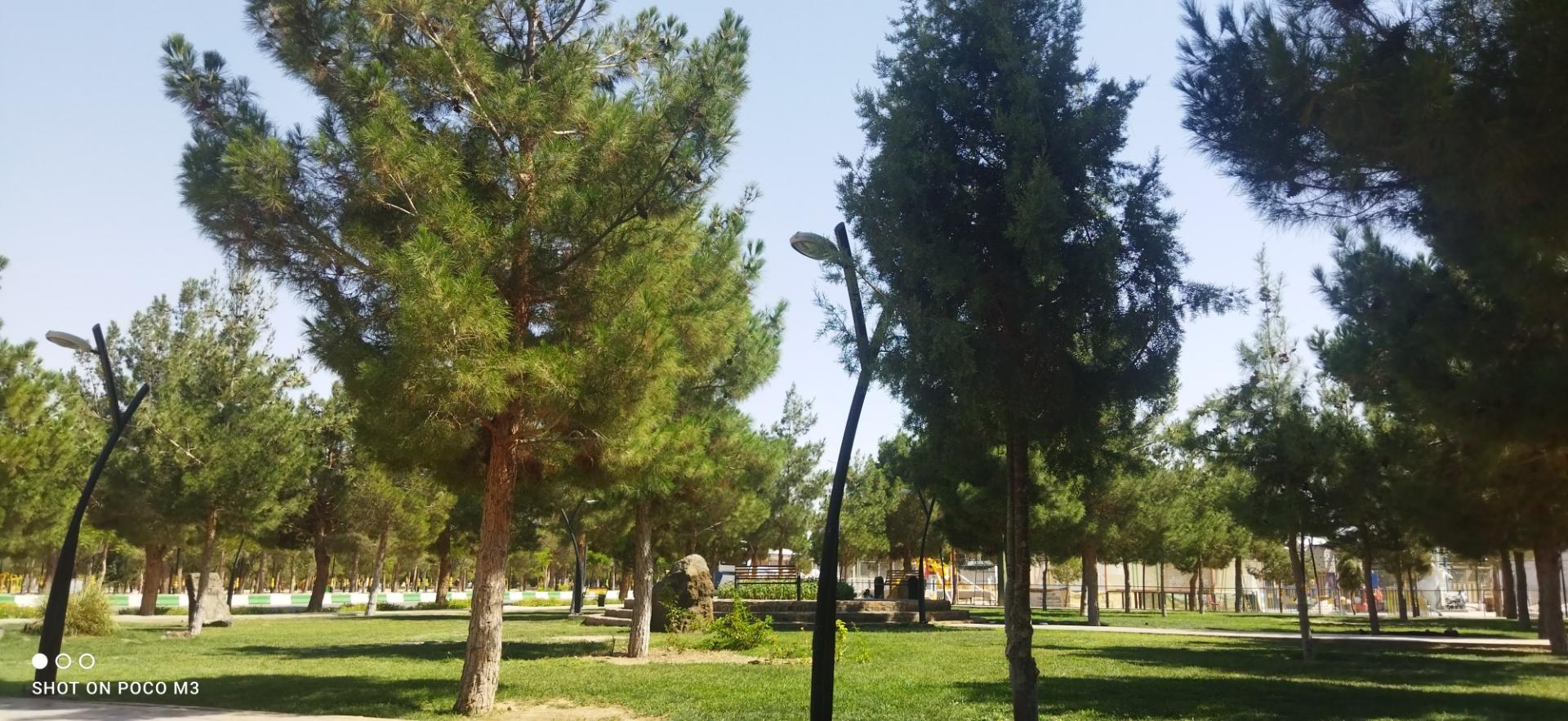 عکس پارک جنگلی دانشجو دامغان
