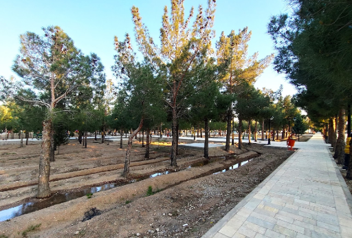 عکس پارک جنگلی دانشجو دامغان