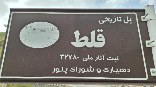 عکس پل پلور (قلط)