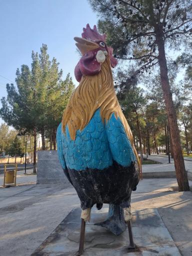 عکس پارک جنگلی دانشجو دامغان