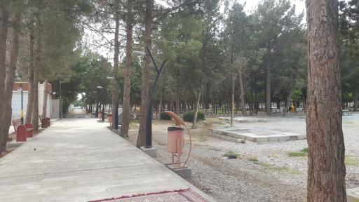 عکس پارک جنگلی دانشجو دامغان