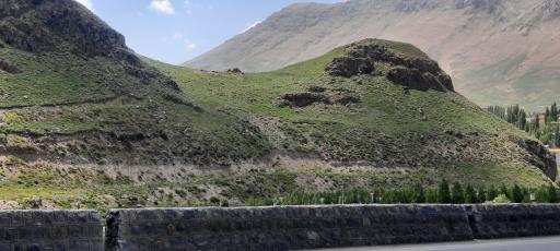 عکس پل پلور (قلط)