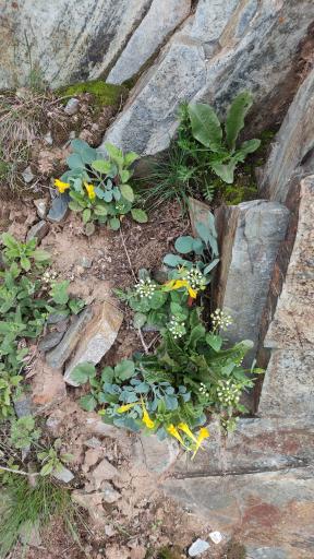 عکس چشمه پدر