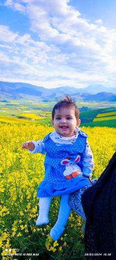 عکس آزادشهر