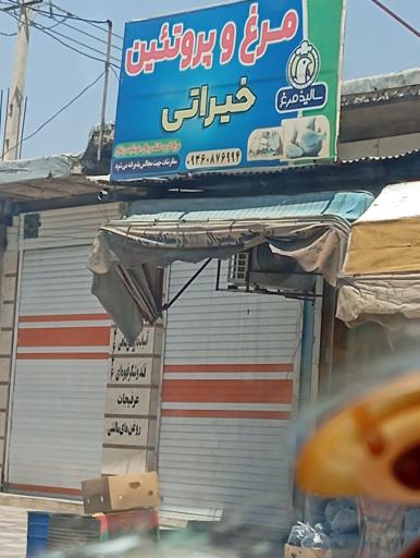 عکس مرغ و پروتئین خیراتی