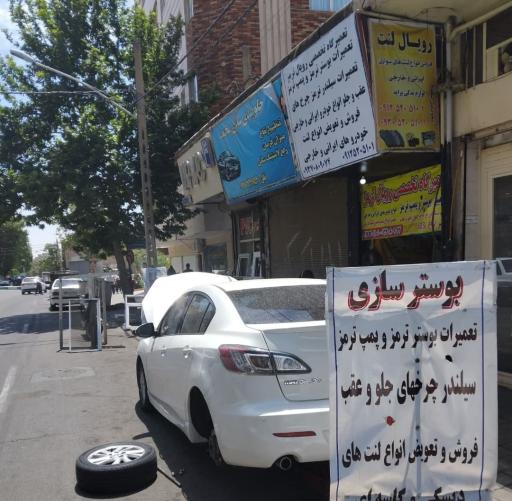 عکس رویال لنت