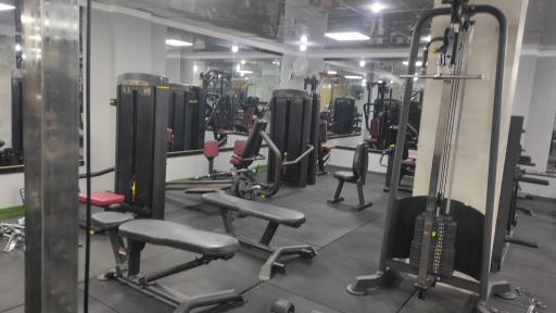 عکس باشگاه بدنسازی وایت جیم
