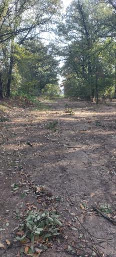 عکس آزادشهر