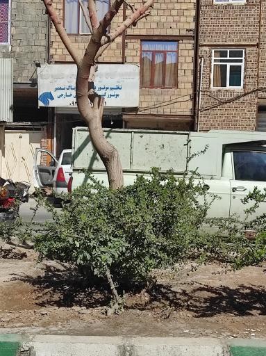 عکس مکانیکی قائم