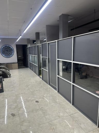 عکس میکروبلیدینگ مینا