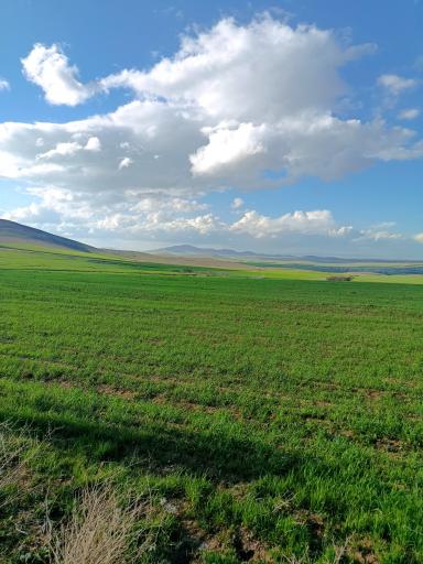 عکس دهگلان