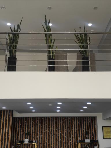 عکس املاک بزرگ نگین افضل