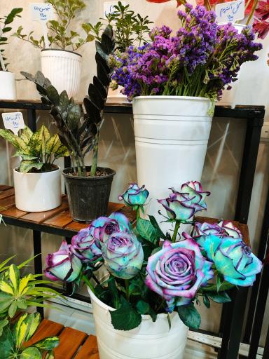 عکس کلبه گل شهرک