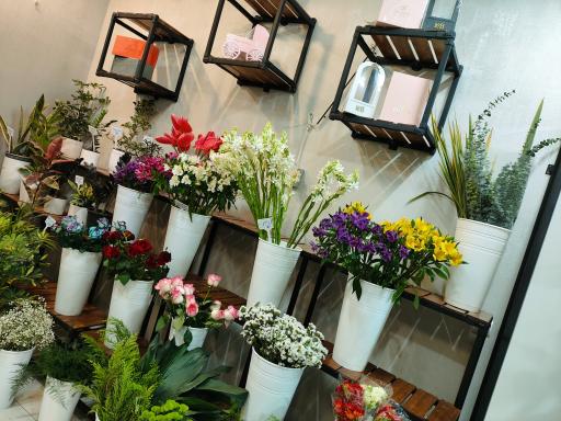 عکس کلبه گل شهرک