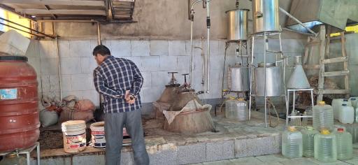 عکس قمصر