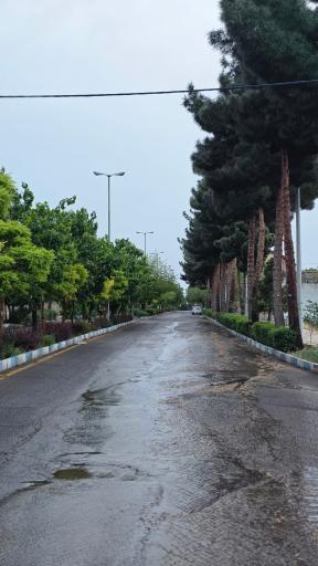 عکس قمصر