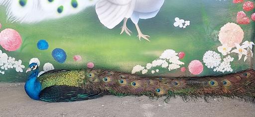عکس رستوران عاشوری لانژ