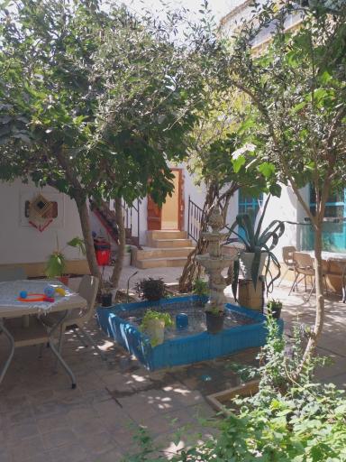 عکس بومگردی طاها