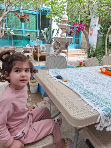 عکس بومگردی طاها