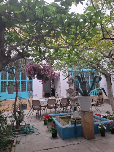 عکس بومگردی طاها